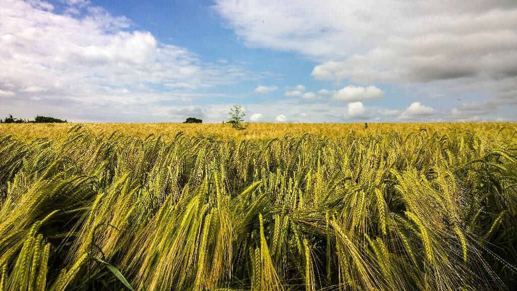 Tak fotografuje się Lumiami! 12
