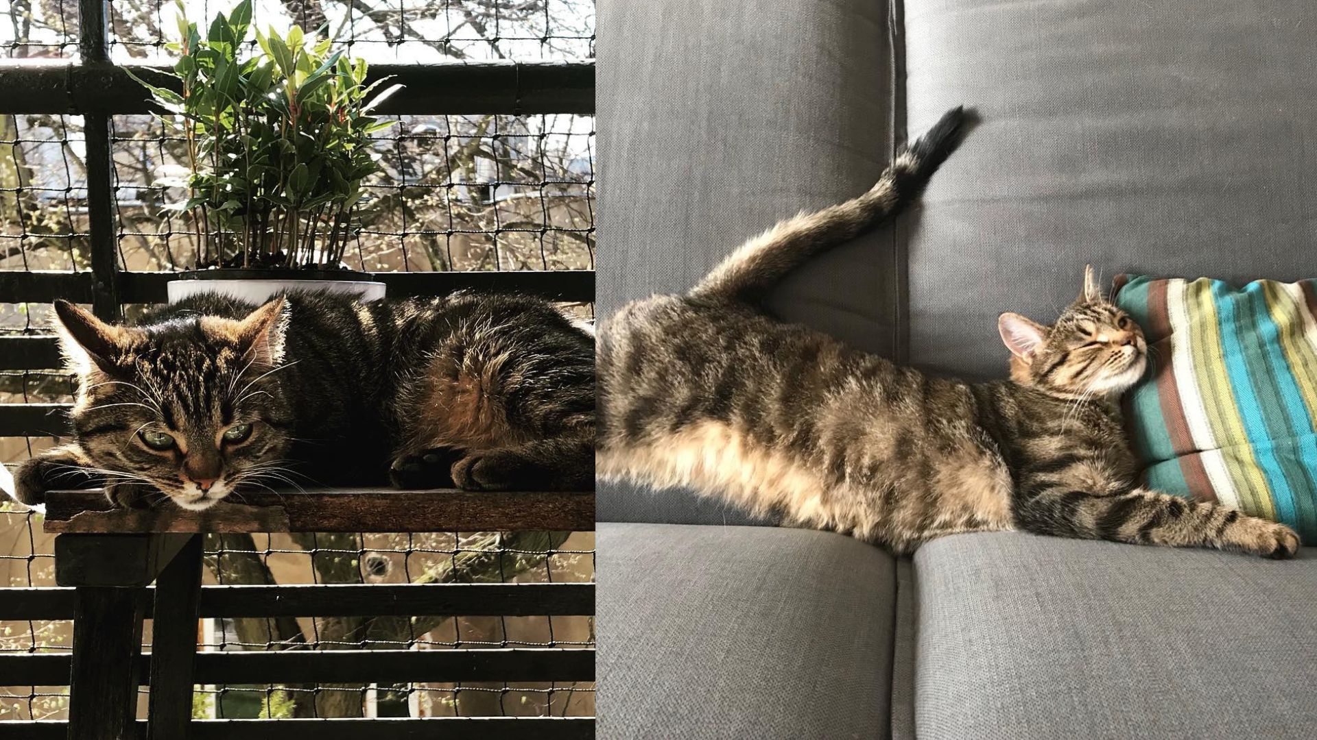 Tak mieszka Magdalena Cielecka