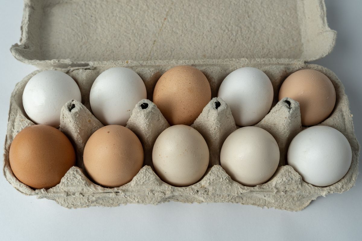 Zazwyczaj jajka możemy kupić w tego typu opakowaniach