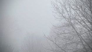 Lubelskie: Gęsta mgła nad regionem. Widzialność spadła do 100 metrów