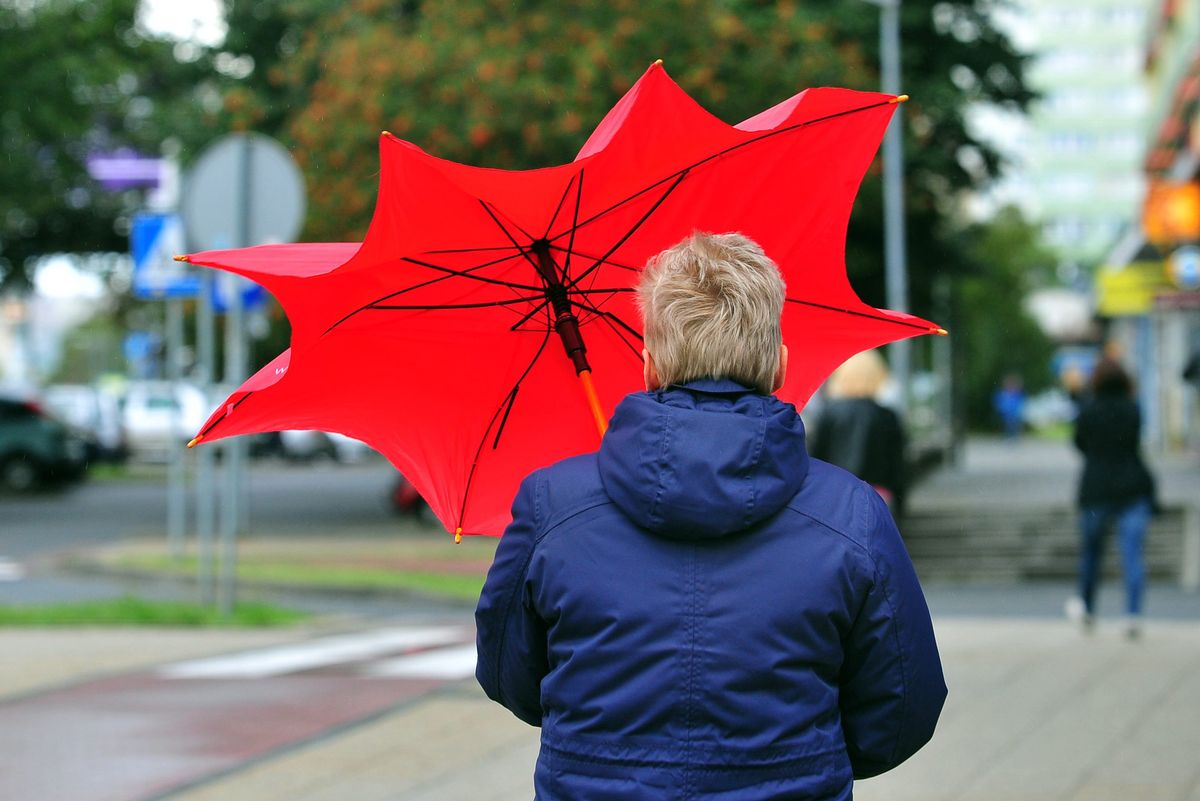 Pogoda. Żółte alerty IMGW. Ostrzeżenie przed silnym wiatrem dla sześciu województw