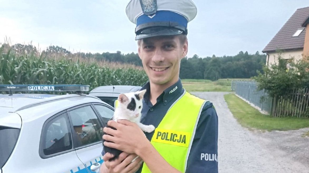 Policjant uratował kotka