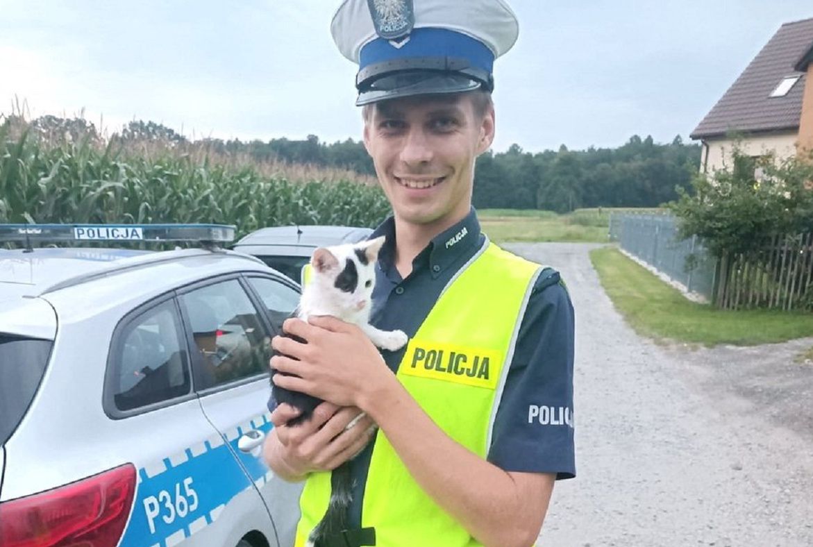 Policjant uratował kotka. Maluch całkiem skradł mu serce