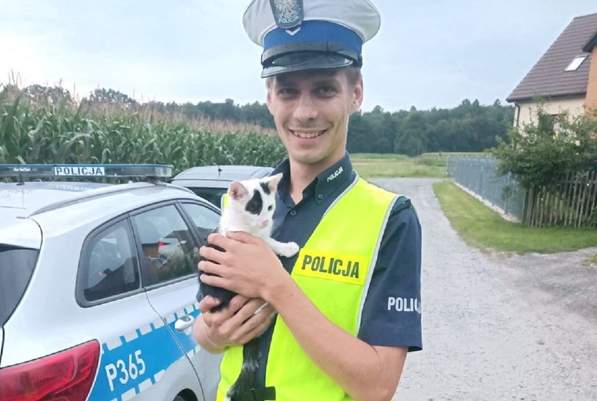 Policjant uratował kotka. Maluch całkiem skradł mu serce