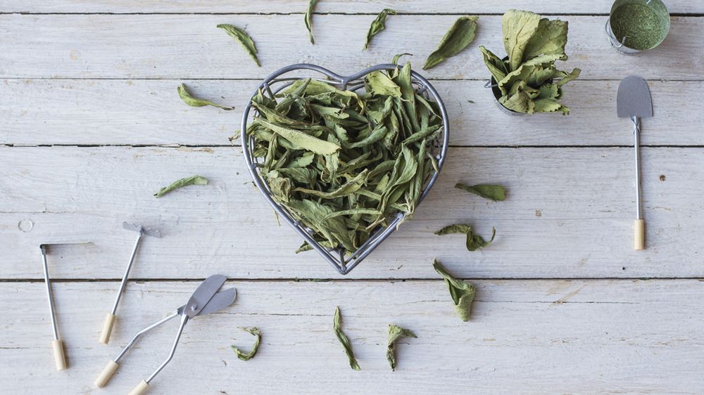 Stewia to naturalny słodzik, który jest 300 razy słodszy niż powszechnie wykorzystywany cukier