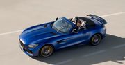Mercedes-AMG GT R Roadster. Z otwartym dachem na tor