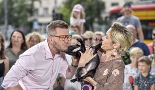 Wpadka w "Dzień dobry TVN". Pies zrobił to na dywan
