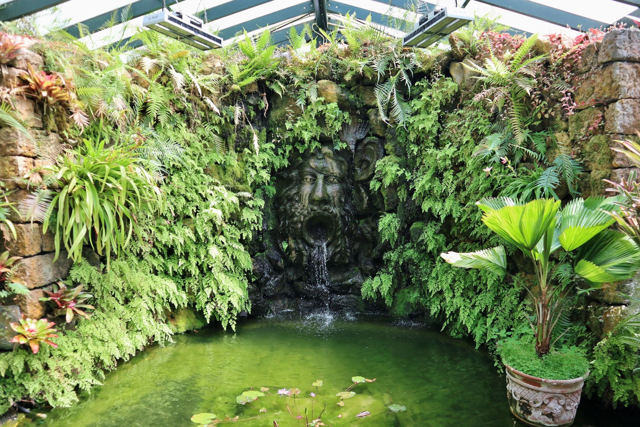 Ogrody Giardini La Mortella, Ischia