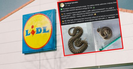 Zrobiła zakupy w Lidlu. Przerażające, co znalazła w selerze
