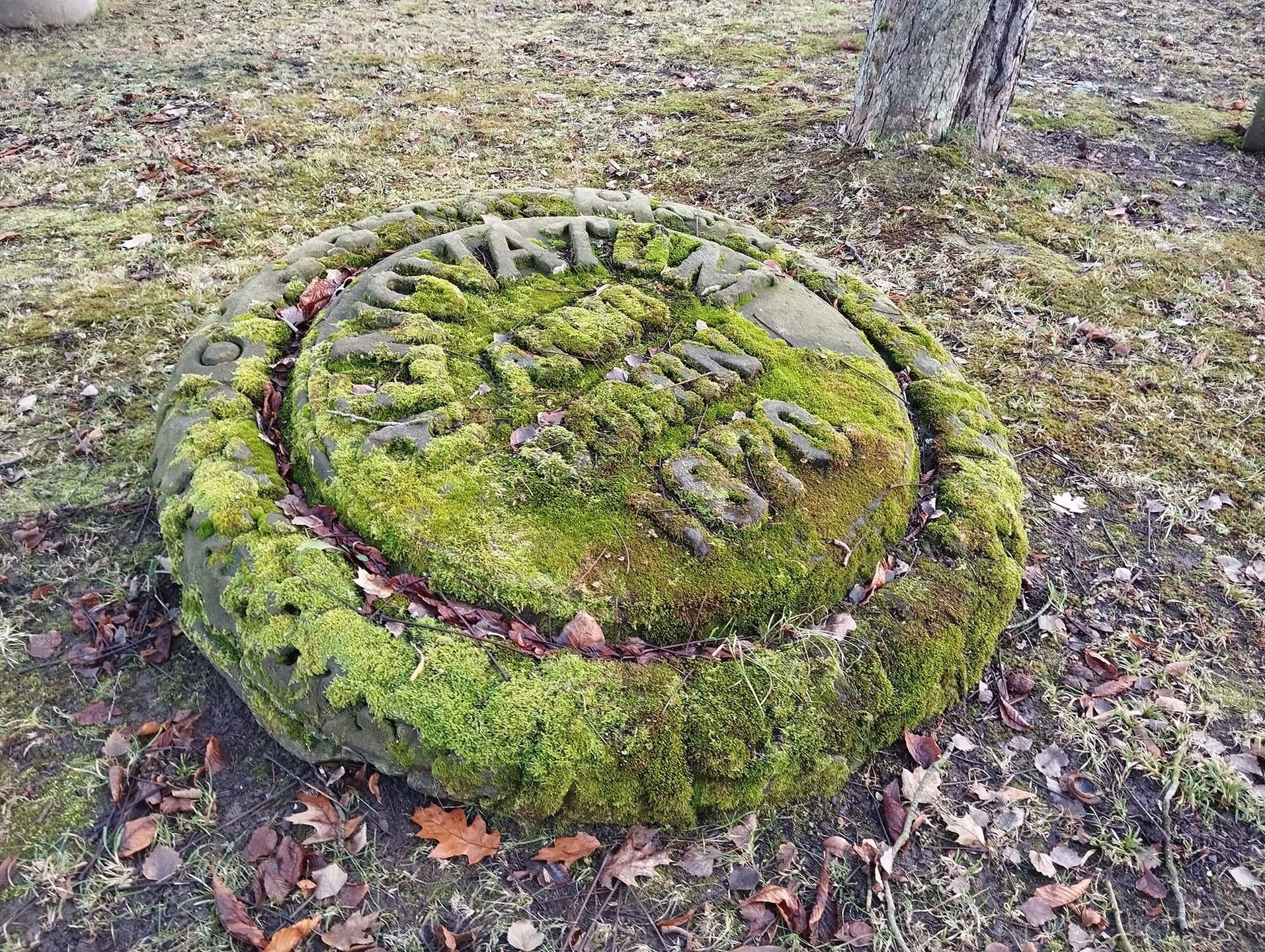 W parku  pełno jest ciekawych elementów pamiętających dawne dzieje pałacu
