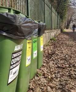 Wrocław. Czysta wiosna nad Odrą. Nowe pojemniki na odpady na wałach