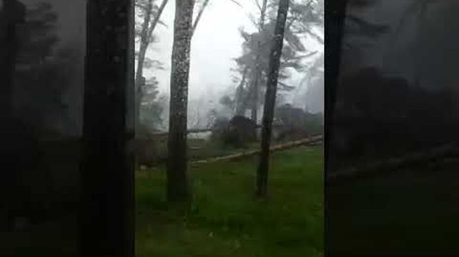 W sieci opublikowano przerażające nagranie, na którym widać jak silny wiatr łamie drzewa jak zapałki.