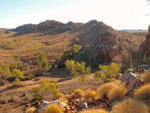 University of Western Australia