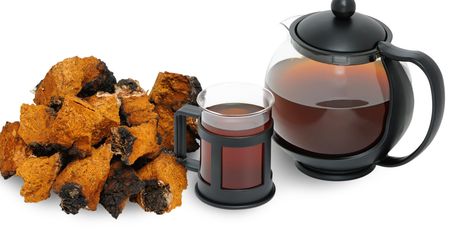 Właściwości herbaty chaga
