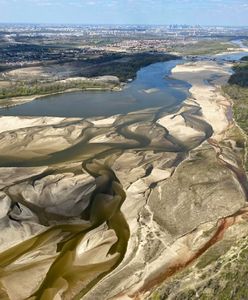 Przed majówką mogą zamknąć lasy w Warszawie. "Czekamy na drugi pomiar ściółki"