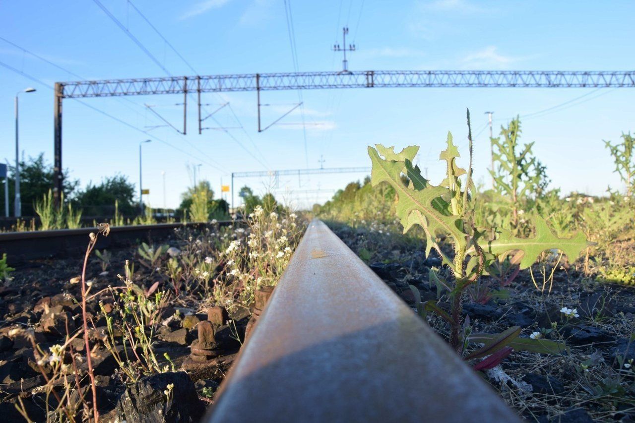 Rozpoczął się remont linii kolejowej Malbork - Elbląg