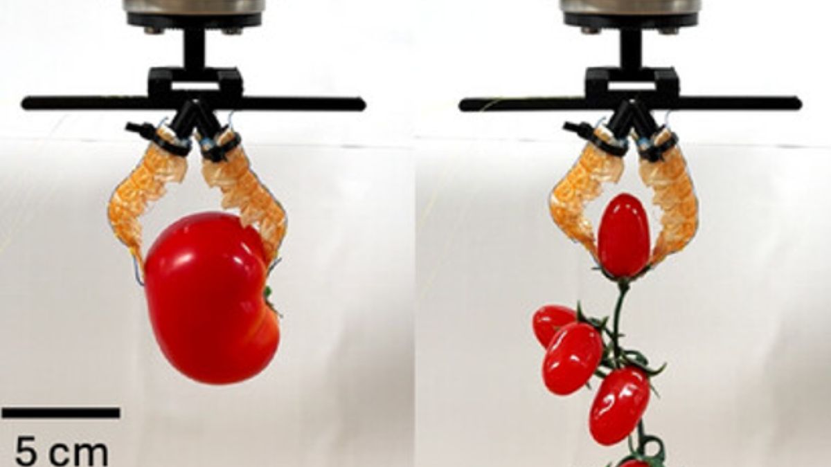 Naukowcy stworzyli wyjątkowego robota