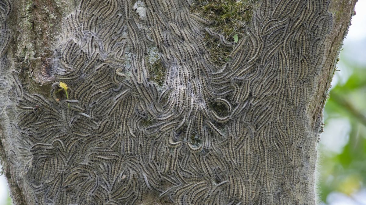 Zdjęcie ilustracyjne 