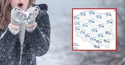 Kiedy śnieg? Szykujcie się. Prognoza IMGW