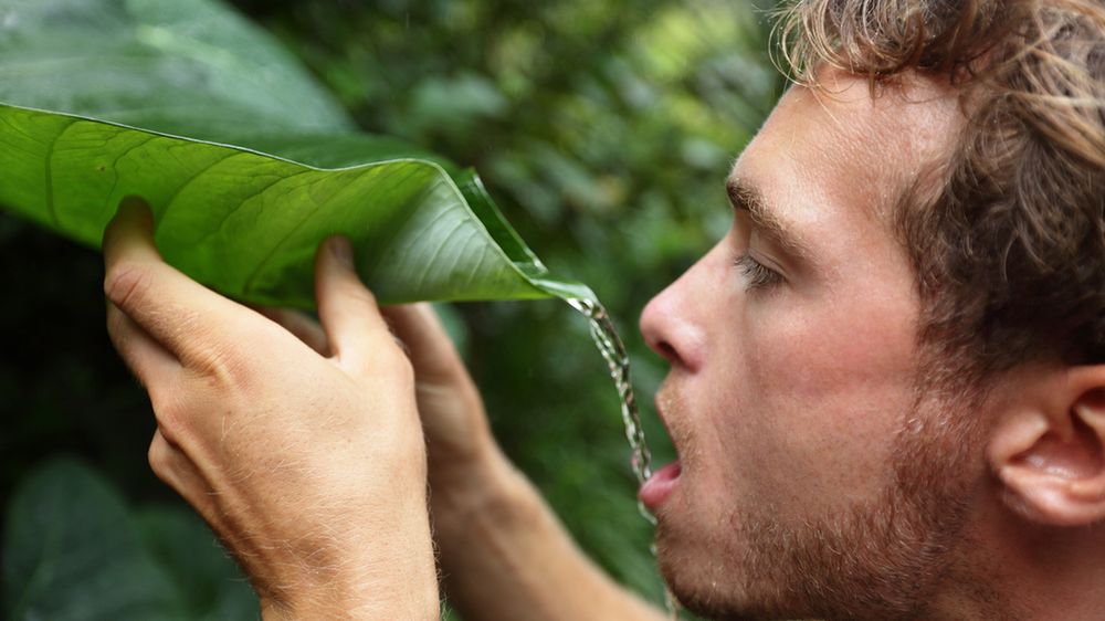 Akcesoria prawdziwego trapera – pięć rzeczy które musisz mieć by przetrwać wszystko 1