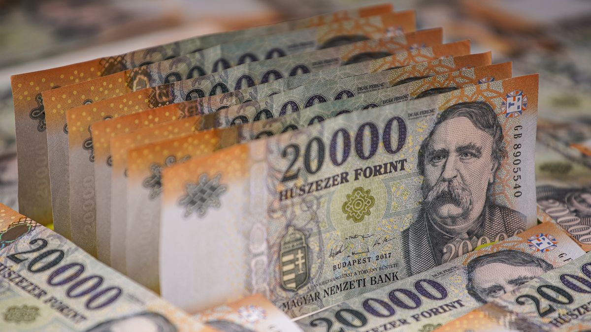 Varga Jozsef Zoltan
forint, huf, hungary, cash, bill, money, hand, dollar, currency, business, finance, isolated, wealth, holding, paper, giving, white, bank, pay, paying, banking, banknote, euro, investment, human, hundred, savings, dollars