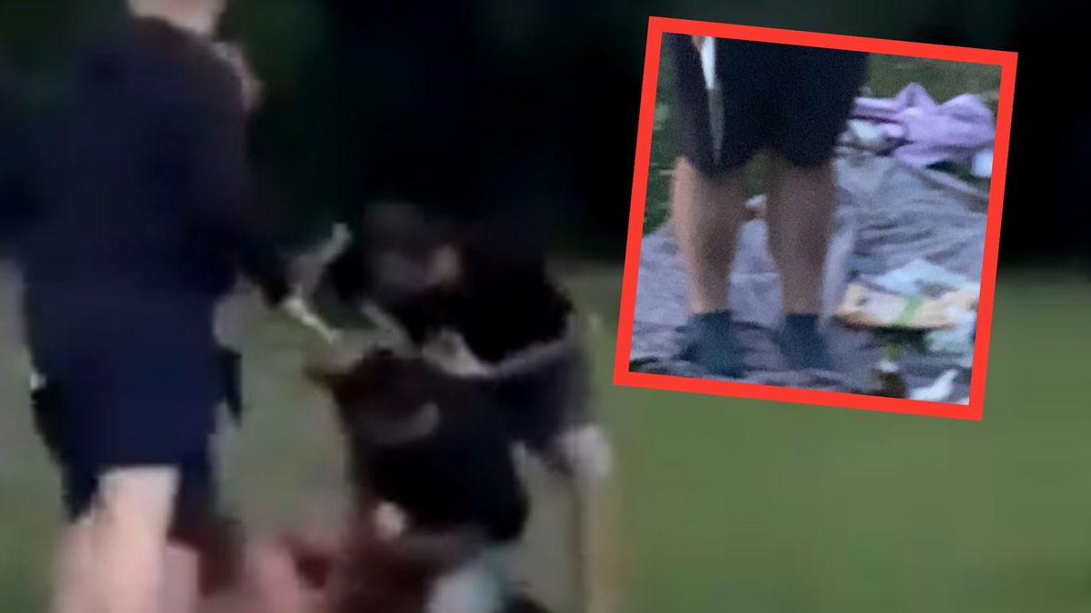 Dramatyczne sceny nad Rusałką w Poznaniu. W ruch poszedł nóż