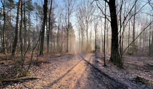 Weekend pełen słońca, ale bardzo zimny. Noce mroźne