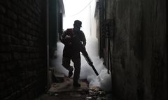 Mamy reakcję wirusologa po alarmującym komunikacie WHO