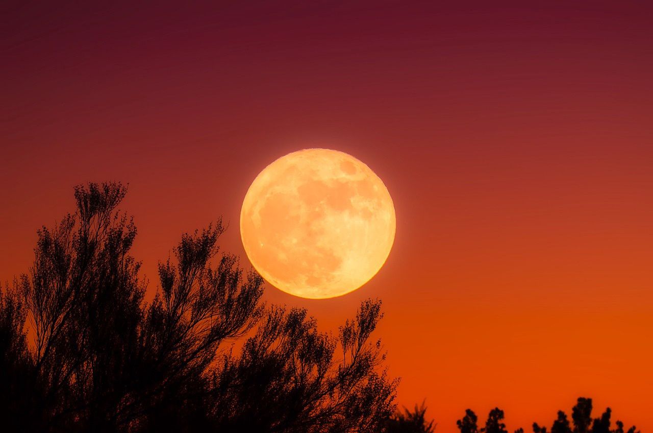 Zbliża się wyjątkowa pełnia Księżyca. Kochankowie nie będą wobec niej obojętni