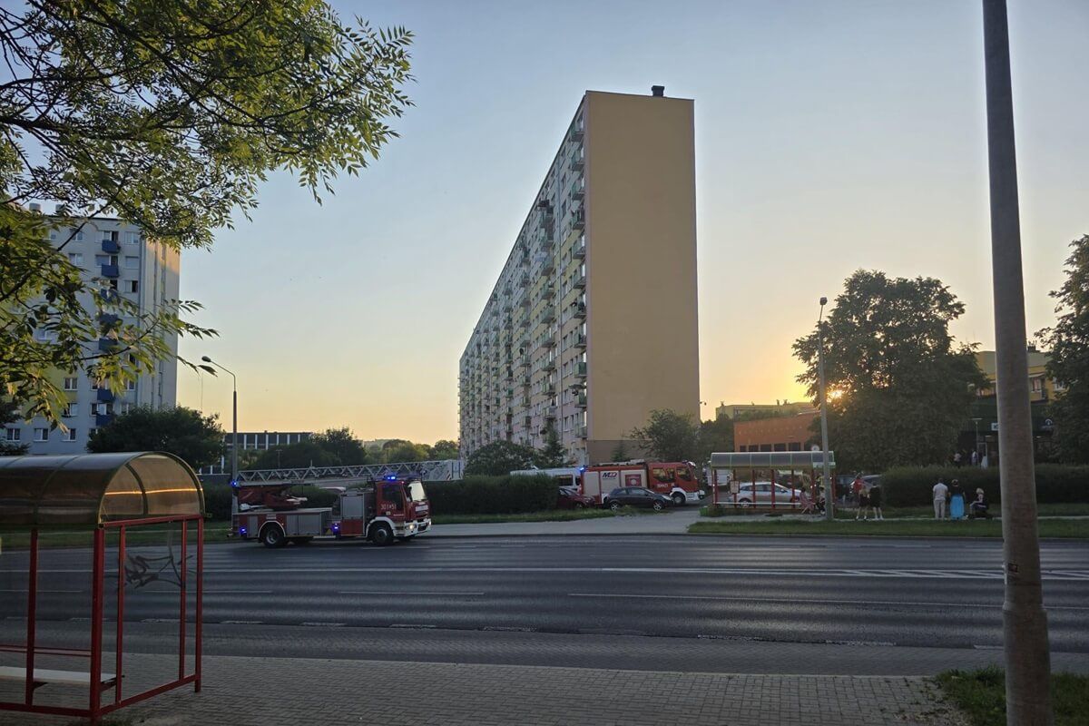 Akcja służb w bloku przy ul. Marii Koryznowej