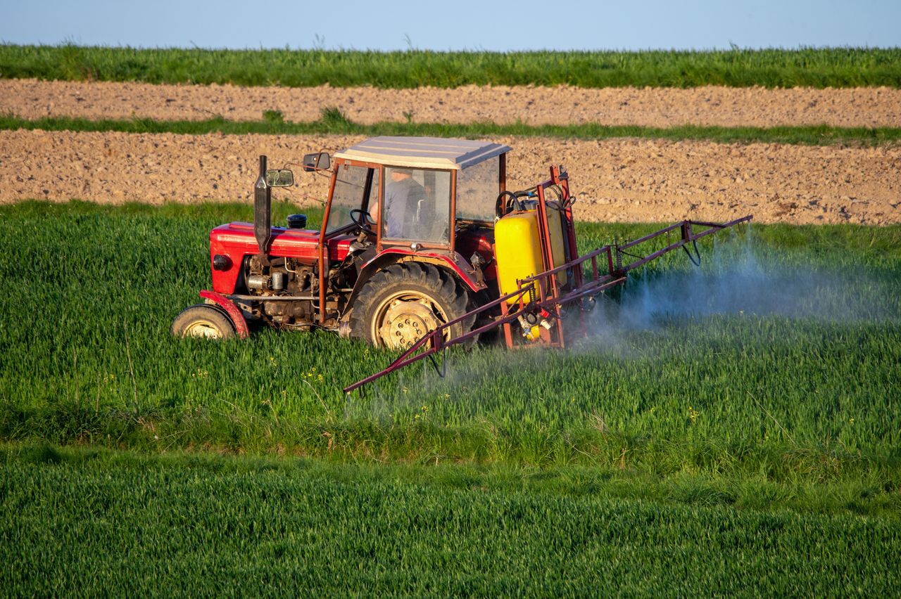 Zarabiają 175 tys. zł rocznie? Rolnicy krytykują dane GUS