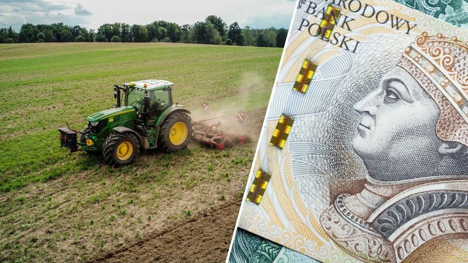 KOWR wydzierżawi 128 ha pola w Zagrodnie. Ale jest haczyk