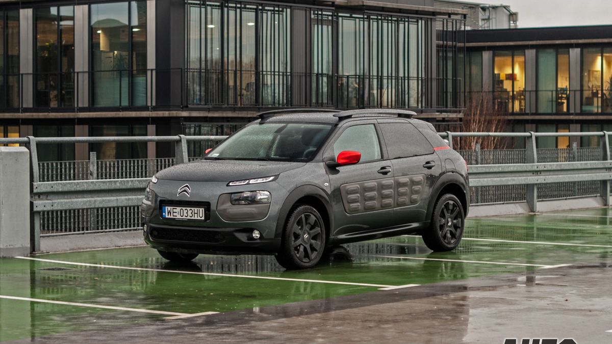 Zdjęcie ilustracyjne do artykułu