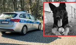 Smutne wieści napłynęły rano. "Była prawdziwą specjalistką"