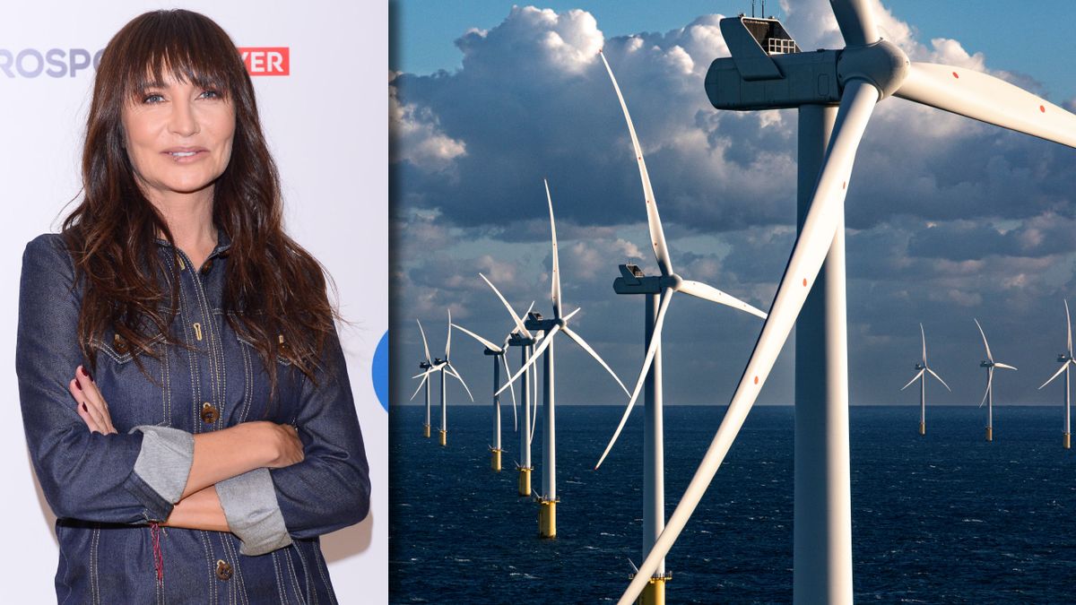 Dominika Kulczyk, Polenergia