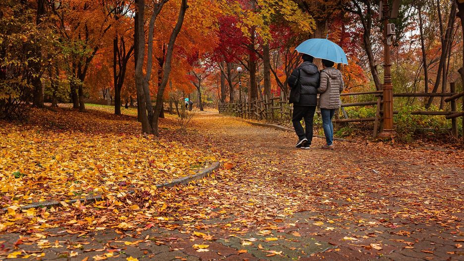 Początek jesieni. Kiedy wypada jesień kalendarzowa i jesień astronomiczna?