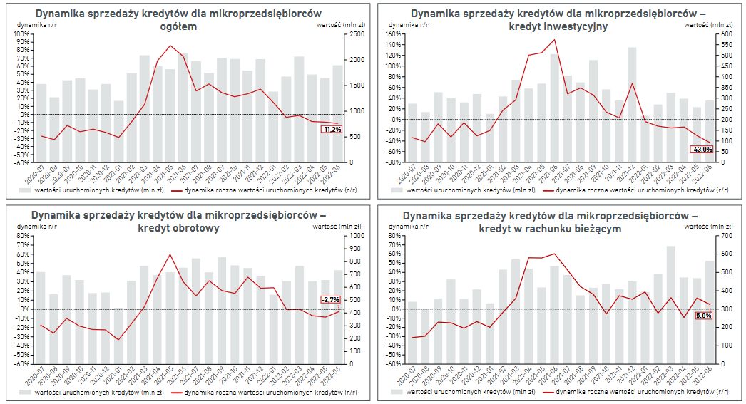Biuro Informacji Kredytowej 