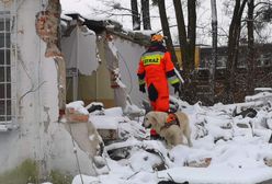 Wrocław. Trening psów ratowniczych na Biskupinie. Przeszukiwały gruzowiska