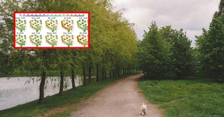 Takie będą najbliższe tygodnie. Jest nowa prognoza