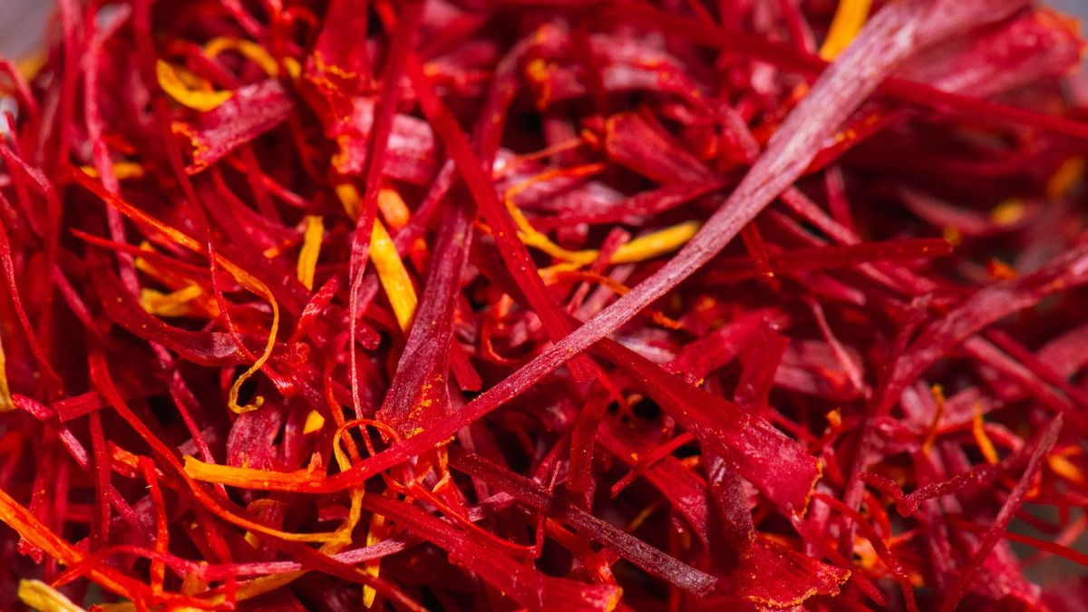 Szafran ma szeroki zakres oddziaływania na zdrowie.