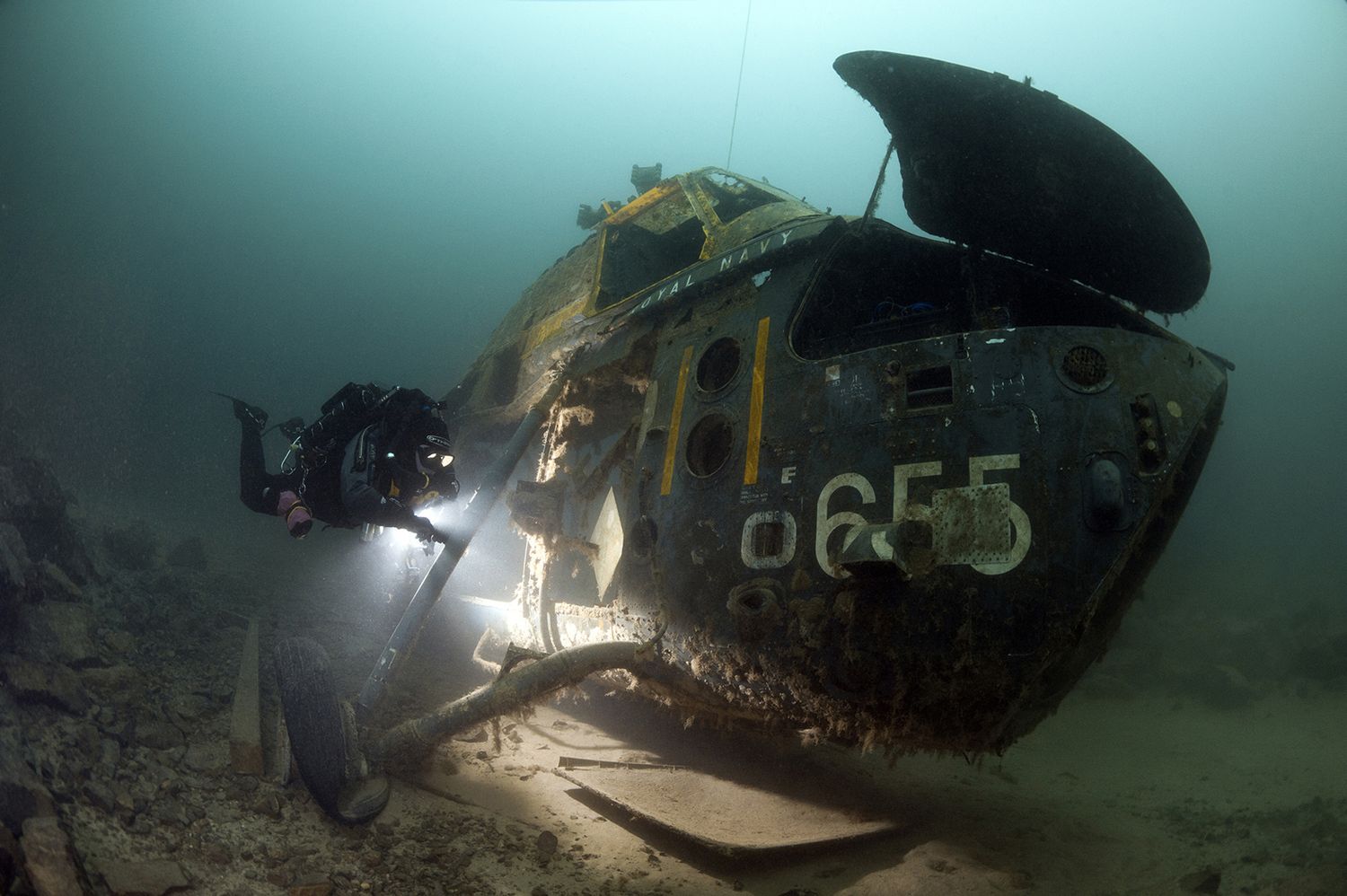 Takiego świata nie znacie. Oto najpiękniejsze zdjęcia podwodne w konkursie Underwater Photographer of the Year 2017 23