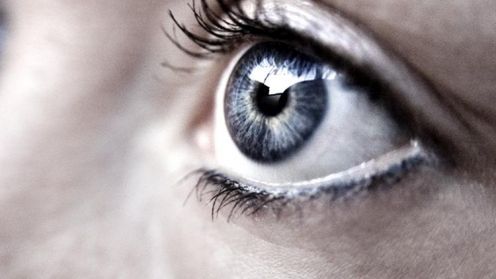 Oko zdradzi nawet najlepszego kłamcę? 1