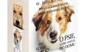 Pakiet: Był sobie pies. O psie, który wrócił do domu. Był sobie pies 2