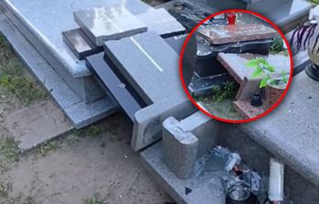 Hieny cmentarne w Toruniu. Pokazał skutki. Porażające