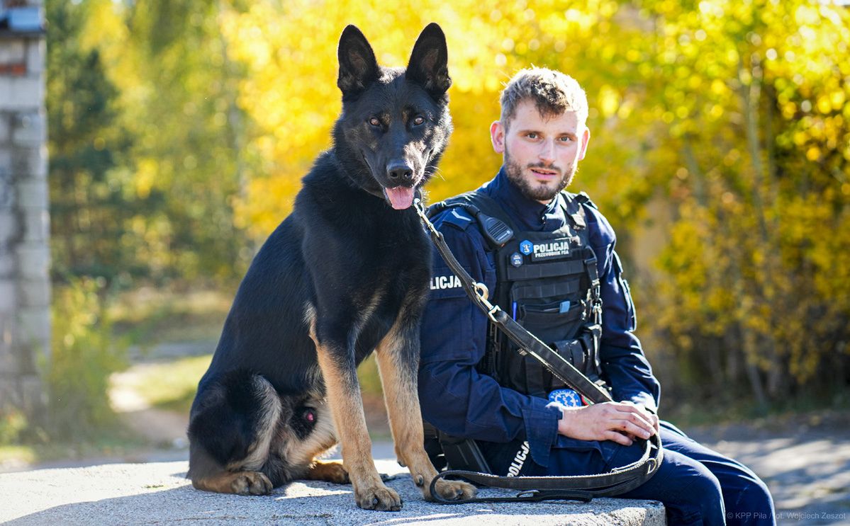 Niko został nowym funkcjonariuszem policji w Pile