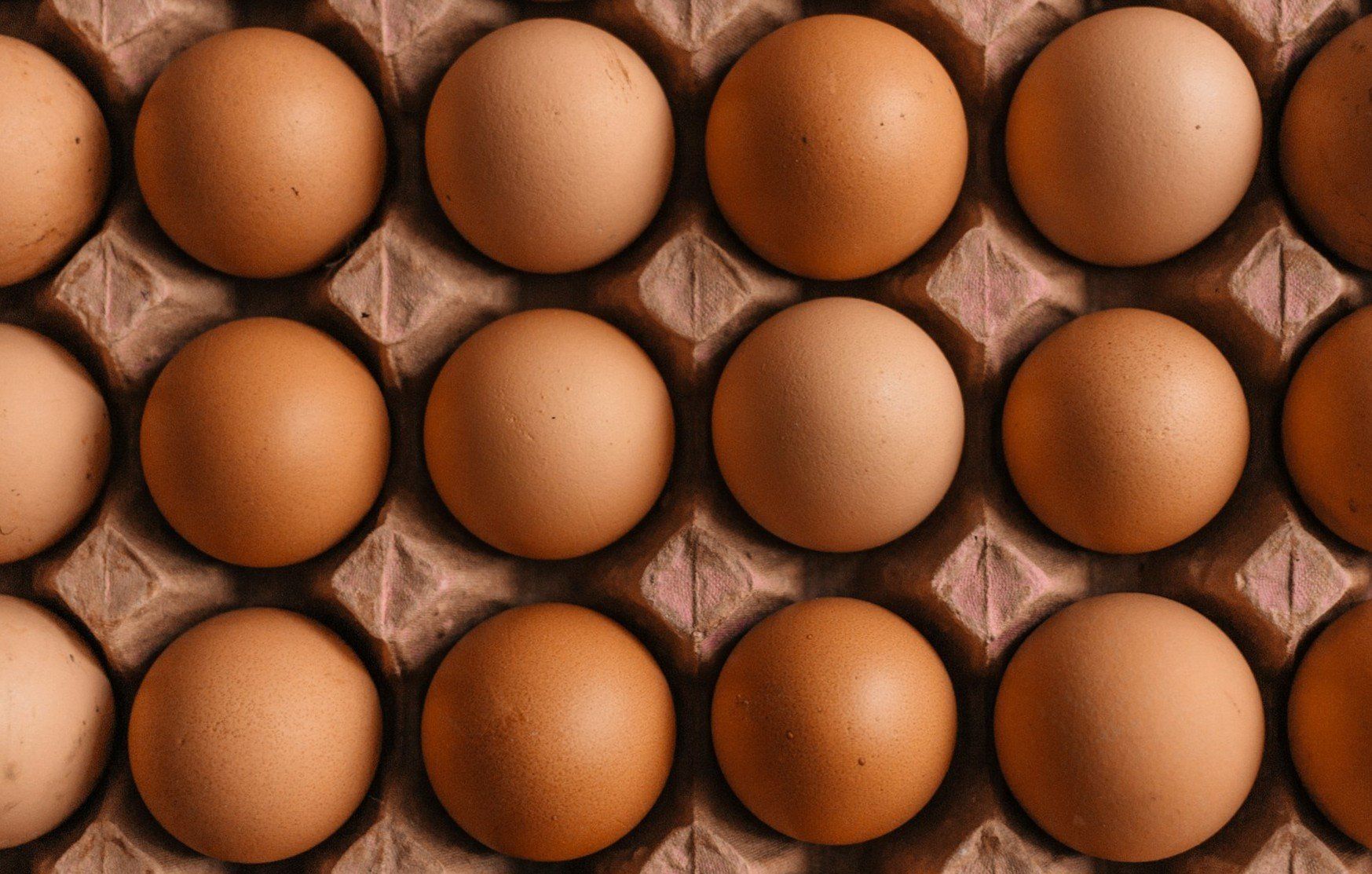 Budowa masy mięśniowej