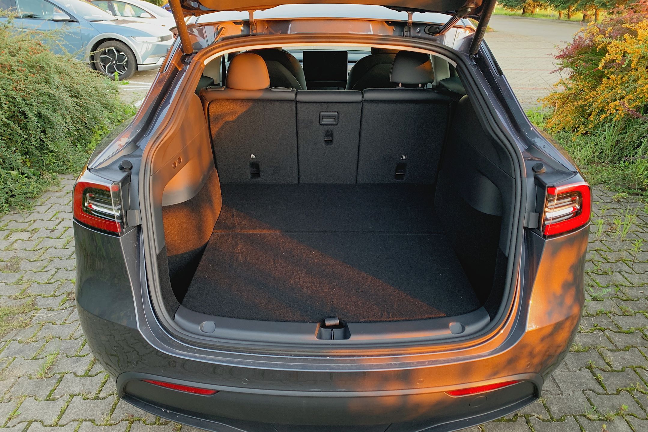 Zdjęcie ilustracyjne do artykułu