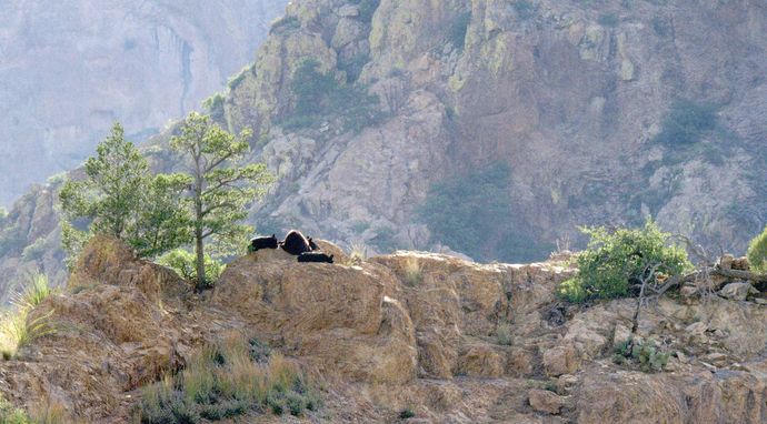 Olśniewająca Ameryka: Południowy Zachód