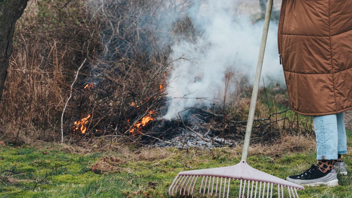 Czy można palić gałęzie i liście na działce?