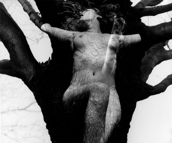 Wieczne polowanie - Wojciech Plewiński o fotografii 4